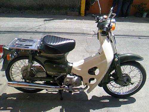 Cub 50