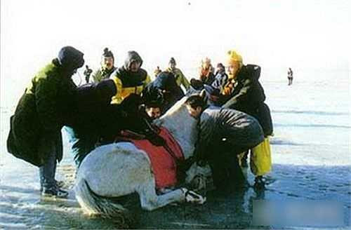 Cả đoàn phim vội vã chạy ra cứu bạch mã khi chú ngựa ngã chổng kềnh. Thời bấy giờ, kiếm một con ngựa bạch để ghi hình rất khó khăn, cả đoàn mượn mãi mới được một chú ngựa màu đen. Để làm đúng kịch bản, đoàn phim đành trát sơn lên mình ngựa, biến nó thành màu trắng. Tuy nhiên, mỗi lần quay cảnh lội sông suối, con ngựa lội nước và bước lên đã trở lại đen sì. (Theo Ngôi sao)