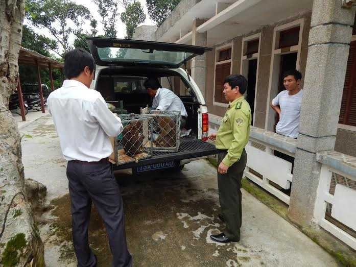 6 động vật quý hiếm cần được cứu hộ khẩn cấp