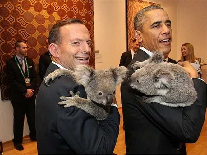 Thủ tướng Úc Tony Abbott (trái) cùng Tổng thống Barack Obama ẵm gấu Koala