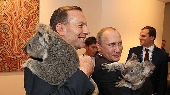 Thủ tướng Úc Tony Abbott (trái) cùng Tổng thống Putin chụp ảnh với gấu Koala