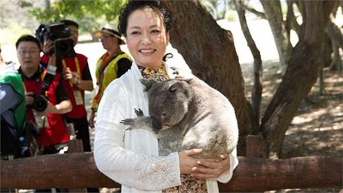 Đệ nhất phu nhân Trung Quốc Bành Lệ Viện ôm gấu Koala tại Hội nghị thượng đỉnh G-20