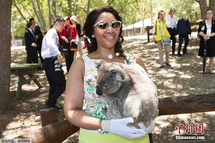 Đệ nhất phu nhân Nam Phi chụp ảnh với gấu Koala