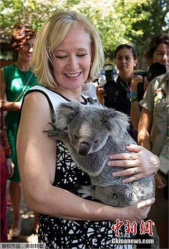 Phu nhân Thủ tướng Canada tươi cười bên chú gấu Koala