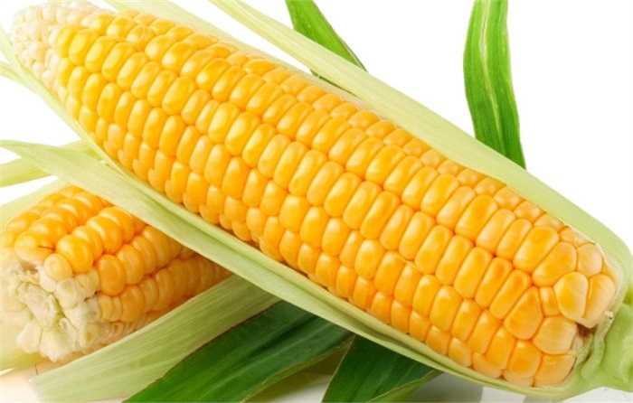 Bạn nên tránh xa các loại thực phẩm có chất ngọt như hạt đậu và bắp vì đường glucôza chứa bên trong chúng có thể làm tăng sự thèm muốn hút thuốc bằng cách kích thích các vùng thần kinh não chịu trách nhiệm tạo sự dễ chịu và thỏa mãn cho cơ thể. 