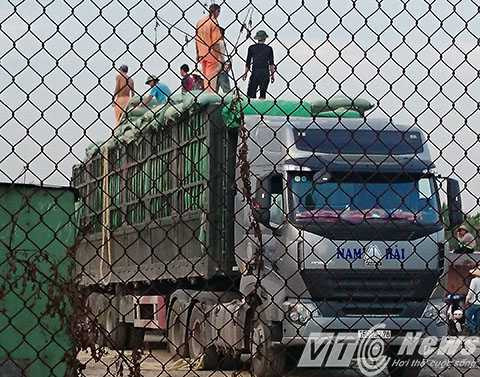 Bộ GTVT, Sở GTVT, xe chở hàng quá tải, Thanh tra giao thông