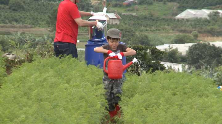 Bố ơi mình đi đâu thế