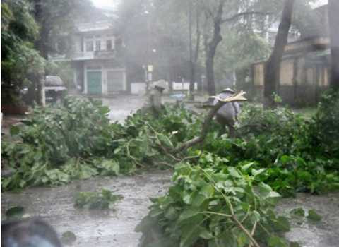 Đà Nẵng, khởi động, 100 thành phố, khả năng chống chịu, Quỹ Rockefeller