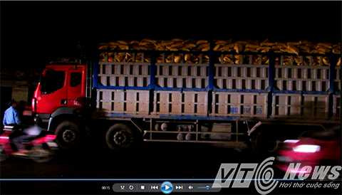 Thanh tra giao thông, 'bắt nóng' xe quá tải, trên 200%, Hải Phòng