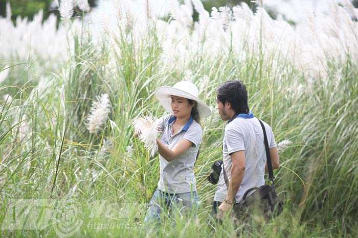 Lau nở trắng trời, dân Đà Nẵng đua nhau đi chụp ảnh