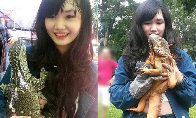 Cách đây gần 2 năm, Lê Thanh Phương Vi, sinh năm 1996, đến từ Đồng Nai bắt đầu tập nuôi nhím kiểng. Cũng từ đây, niềm đam mê đặc biệt với rắn, bò sát thuộc các chủng loại trong Vi được khơi lên. Cô gọi những con thú cưng của mình là 'tài sản vô giá', sẽ không bao giờ bán dù có được ra giá cao đến mấy. Rồng Nam Mỹ và Blackthoat mornitor, Phương Vi đang cầm trên tay là hai dòng bò sát khá quen thuộc, được người nuôi yêu thích.