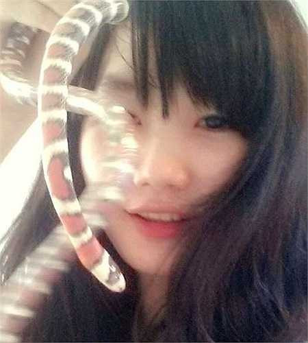Còn đây là loài rắn Milk, tên đầy đủ là Apricot milk snake. Tuy rắn có màu sắc sặc sỡ và không hề có nọc độc, hiện được ưa chuộng tại nhiều quốc gia như một sinh vật cảnh độc đáo. Và tùy theo màu sắc kích cỡ của chúng mà giá của loài rắn này dao động từ 2-3 triệu đồng/con.