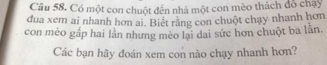 bài toán chuột mèo