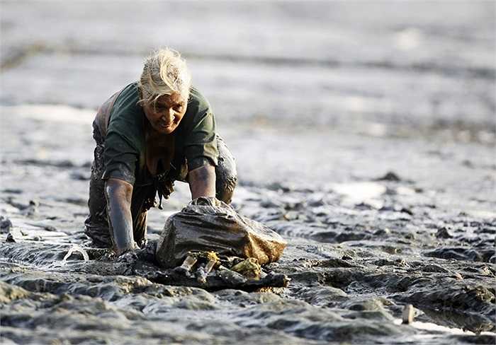 Người phụ nữ Ấn Độ đi tìm những mảnh thép còn sót lại dưới biển khi thủy triều xuống để bán cho các đại lý phế liệu