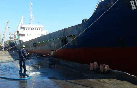 Tàu cá, bị đâm chìm, trên biển, 8 ngư dân, Đà Nẵng, được cứu về bờ, Bình Minh