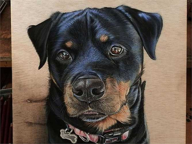 Ivan cho rằng vẽ tranh trên gỗ mang lại cho anh nhiều ý tưởng độc đáo hơn