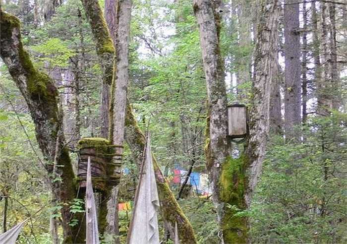 Con người sinh ra chỉ có một cách duy nhất là chui ra từ bụng mẹ. Song khi kết thúc kiếp người, thì có đến 1001 cách trở về cát bụt.