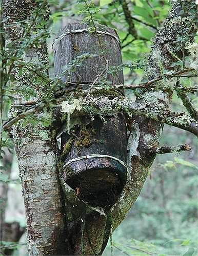 Địa táng, thủy táng, hỏa táng, điểu táng, thiên táng... vô vàn cách thức khác nhau mà con người có thể lựa chọn. 