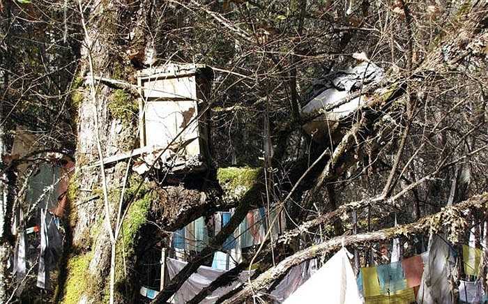 Truyền thống 'cây táng' của người Nyingchi và Kangbei khiến môi trường tại nơi có nhiều cây tuyết tùng trở nên ô nhiễm, đáng báo động.