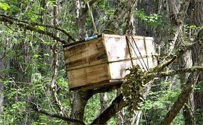 Các xác chết phân hủy tỏa ra thứ mùi khủng khiếp. Giòi bọ, thịt rữa, xương người rơi xuống thảm rừng tạo nên cảnh tượng vô cùng man rợ.