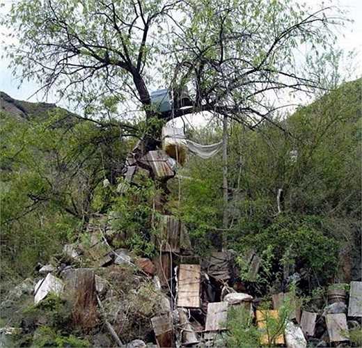 Những xác chết là nữ thì được treo thấp, gần mặt đất hơn so với những thi hài là nam.