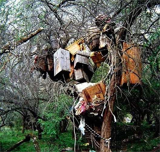 Đó cũng là cách ngăn cản sự ‘trở về’ của các ‘linh hồn’ để ‘bắt’ theo những đứa trẻ còn sống trong gia đình.