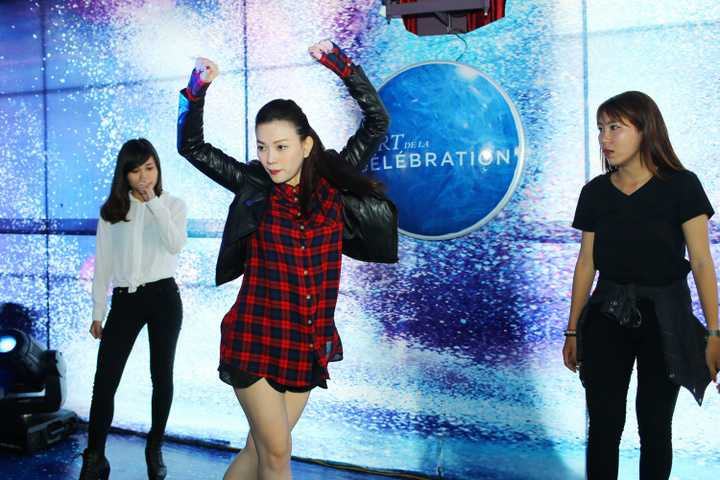 Cô từng tham gia nhóm Mây Trắng, H.A.T trước khi chính thức trở thành ca sĩ solo vào năm 2004. 