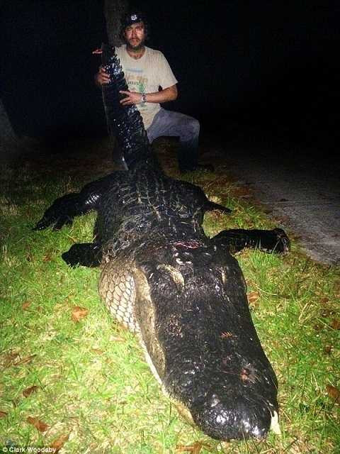 Hạ gục cá sấu khổng lồ nặng 326kg