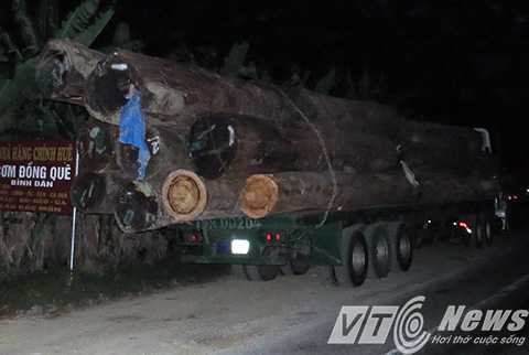 Tổng cục Đường bộ, Bộ GTVT, Thanh tra giao thông, Hải Phòng, Quốc lộ 10