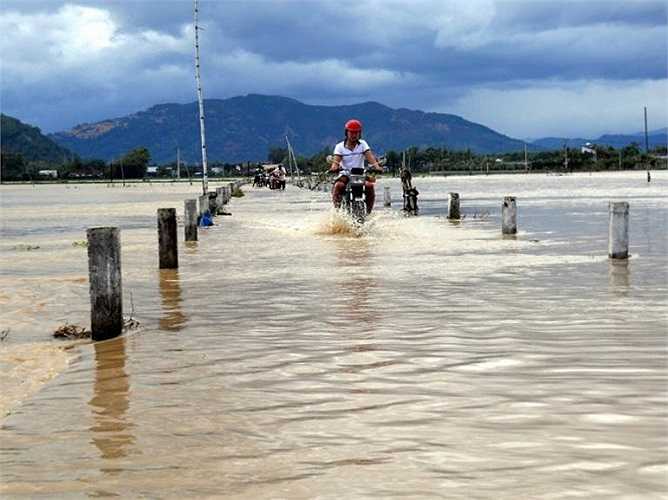 Đường vào khu vực 3, phường Nhơn Phú cũng bị ngập trong lũ (Bình Định) - Ảnh: Tuổi trẻ