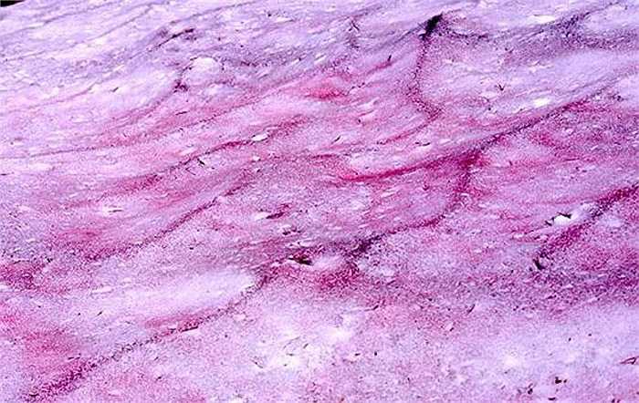 Ở nhiều nơi trên thế giới tuyết được tìm thấy có màu nâu, tím thậm chí màu đen, và được gọi là tuyết đa sắc. Tuyết đa sắc được tạo ra do sự kết hợp của các đám mây tuyết bình thường với lượng lớn bụi có trong không khí. Loại tuyết này rất có hại với sức khỏe nếu hít phải. 