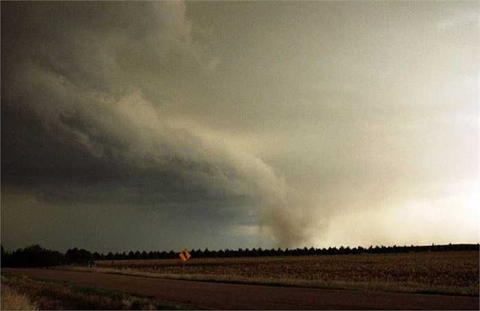 Gustnado là thuật ngữ dùng để chỉ một cơn lốc xoáy ngắn, tách riêng hoàn toàn khỏi cơn bão chính thường sản sinh ra những cơn lốc. Một cơn lốc gustnado không mạnh như cơn lốc bình thường và được hình thành khi mưa trút xuống hòa với không khí lạnh trong cơn bão.
