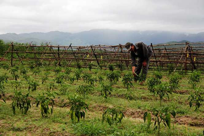 Dừng các dự án đụng đến khu vực phòng thủ