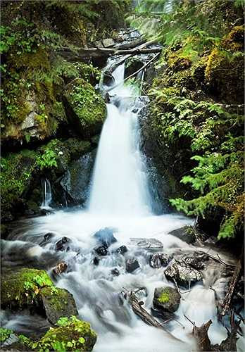 Khung cảnh ở British Columbia.