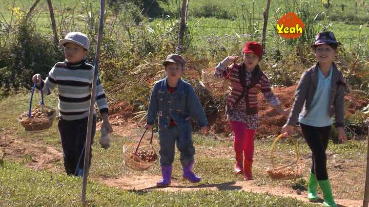 Nhiệm vụ của bốn bé không chỉ dừng lại ở đấy. Bo, Bờm, Suti và Tê Giác sẽ đem bán chỗ dâu mà mình hái được. Số tiền kiếm được dùng để mua một món quà tặng cho người thân. 