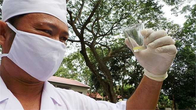 Chuyên gia trại Đồng Tâm kiểm tra nọc độc của vừa lấy của rắn lục đuôi đỏ. Đây là nọc 'thô', muốn sử dụng làm huyết thanh và các sản phẩm khác thì phải qua quy trình bảo quản và điều chế rất phức tạp. Hiện trại Đồng Tâm là nơi cung cấp nọc độc rắn cho các viện, trung tâm điều chế huyết thanh trên cả nước. 