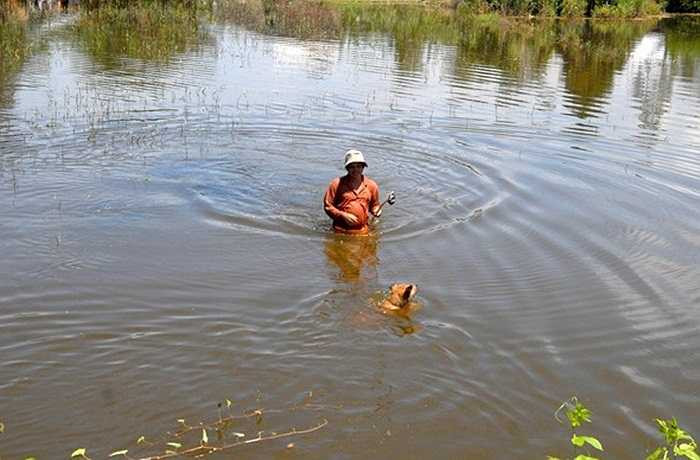 Cách săn chuột phổ biến nhất hiện nay là dùng chó săn để đánh hơi những hang chuột đang sinh sống.