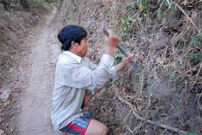 Anh Nguyễn Văn Cương, ở thị trấn Nhà Bàng (huyện Tịnh Biên) là người sinh sống bằng nghề bới đất tìm bò cạp gần 5 năm nay.