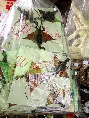 Tắc kè bay sau khi bắt về được phơi khô bán với giá 40.000 đồng/bọc 3 con.