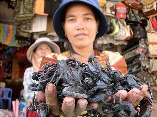 Chợ côn trùng biên giới Tịnh Biên chính là nơi tập kết và tiêu thụ các loài nọc độc này. Cách mời khách mua bò cạp ở chợ này cũng rất ấn tượng: người bán nắm trong bàn tay đưa cho khách xem, nhưng họ không hề bị cắn.