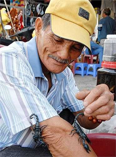 Ông Trần Văn Thơm, ở xã Ô Lâm, huyện Tri Tôn, cho biết trước đây bò cạp ở vùng Bảy Núi nhiều vô số kể, nhưng hơn 5 năm đổ lại đây lại ít dần, từ khi loài này trở thành món ăn hấp dẫn với dân nhậu.