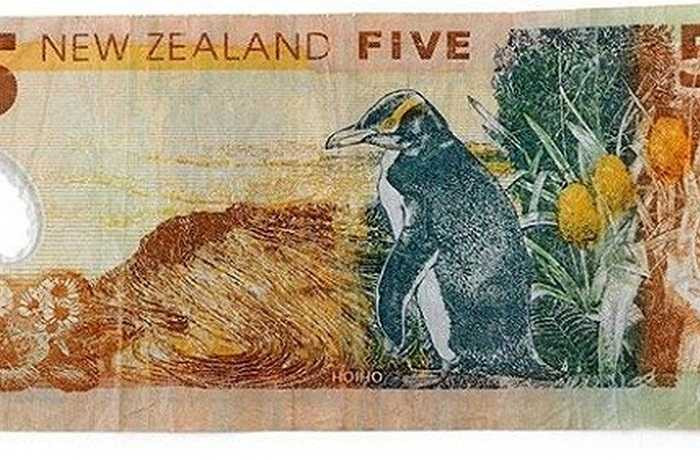 Tờ 5 đô la của New Zealand có hình chim cánh cụt mắt vàng.