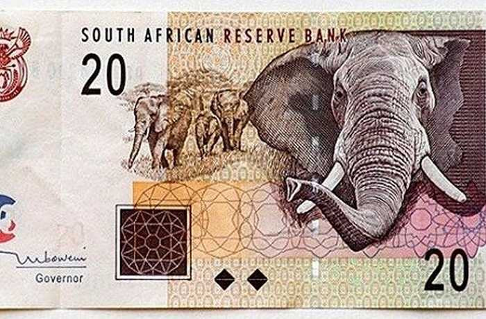 Tờ 20 rand của Nam Phi. Các loại tiền giấy của Nam Phi có thể hiện 5 động vật thuộc loại sức mạnh và kích thước to lớn ở quốc gia này, trong đó bao gồm sư tử và voi.