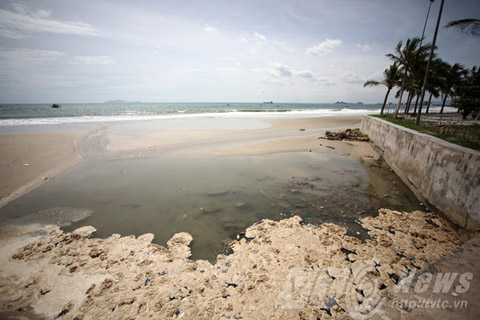 Đà Nẵng, Trần Thọ, Bí thư, Thành ủy, Họp HĐND, lấy phiếu tín nhiệm