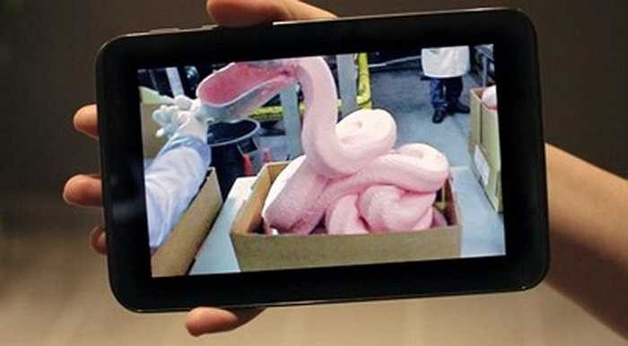 'Trong suốt quá trình sản xuất gà miếng McNuggets, hoàn toàn không có sự xuất hiện của hóa chất màu hồng nào hết', Nicoletta Stefou, nhà quản lý chuỗi cung ứng McDonald's tại Canada khẳng định.