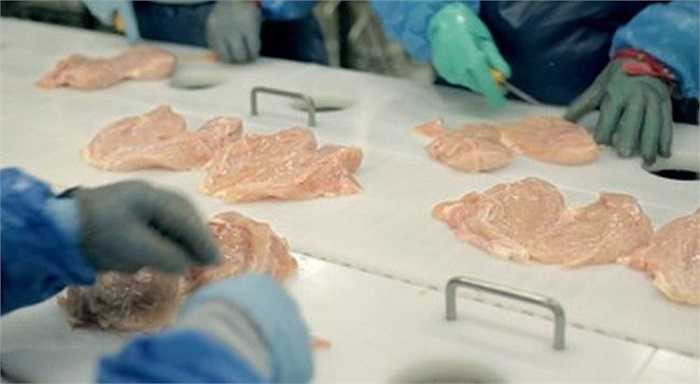 Quy trình chế biến McNuggets bắt đầu từ khâu rút xương gà, róc thịt thành miếng rồi lọc lấy thịt ức.