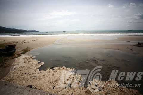 Đà Nẵng, họp HĐND, Bí thư Thành ủy, chất vấn, phải làm cho bằng được, đừng để dân kêu, ông Trần Thọ