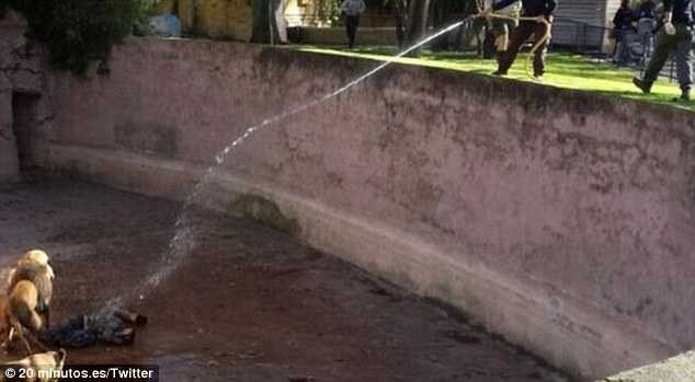 Đơn thương độc mã nhảy vào chuồng sư tử