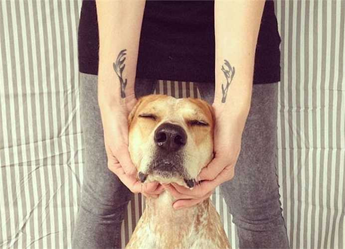 Sự kết hợp tinh tế với thú cưng.