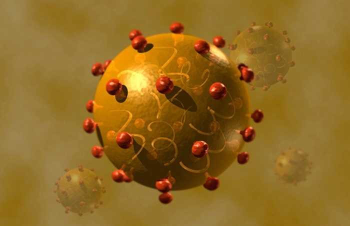 14. Virus viêm gan C (Hepatitis C) là một trong những nguyên nhân gây viêm gan cấp, viêm gan mãn, xơ gan và ung thư gan.